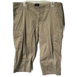 The Limited Cropped Cargo Pants
